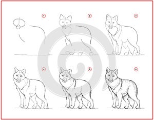 Page shows how to learn to draw sketch of cute grey wolf. Creation step by step pencil drawing. Educational page for artists.