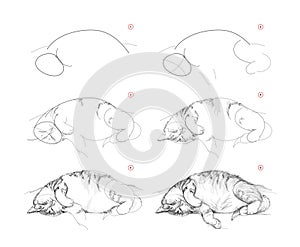 Page shows how to learn to draw sketch of cute sleeping cat. Pencil drawing lessons. Educational page for artists. Textbook for