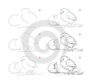 Page shows how to learn to draw sketch of hatched chick. Creation step by step pencil drawing. Educational page for artists.
