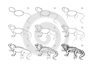 Page shows how to learn to draw sketch a New Zealand lizard tuatara. Pencil drawing lessons. Educational page for artists.