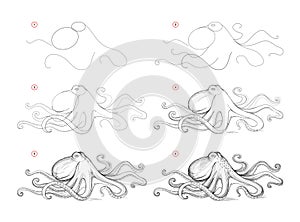 Page shows how to learn to draw sketch of octopus. Creation step by step pencil drawing. Educational page for artists. Textbook