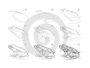 Page shows how to learn to draw sketch of realistic frog. Pencil drawing lessons. Educational page for artists. Textbook for