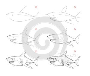 Page shows how to learn to draw sketch of white shark. Creation step by step pencil drawing. Educational page for artists.