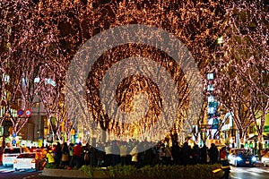 Pageant image of Sendai light