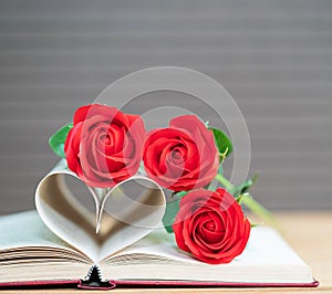 Pages of book curved heart shape and red rose