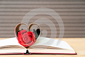 Pages of book curved heart shape with red rose