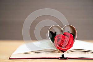 Pages of book curved heart shape with red rose