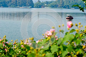 Pagoda and boat on West lake