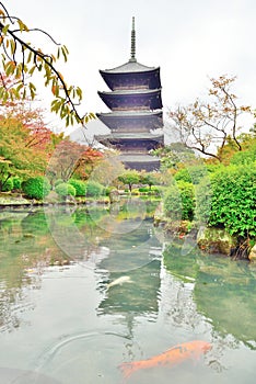 Pagoda and carp fish at Toji temple in Kyoto