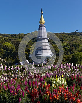 Pagoda at Doi Inthanon national park