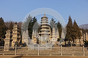 Pagoda Forest at Shaolin Temple