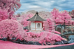 Pagoda and Japanese Garden in Infrared Color