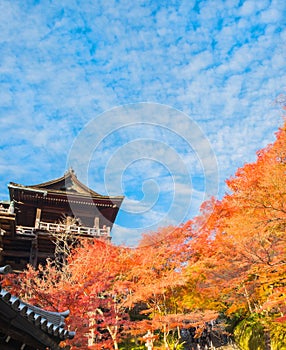 The pagoda of Kiyomizu-dera in Kyoto, Japan.,Kyoto, Japan at Kiyomizu-dera Temple in the autumn.