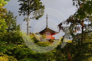 Pagoda at Kyomizu dera in Kyoto, Japan photo