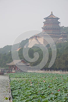 Pagoda and lotus flowers in Beijing Summer Palace, China