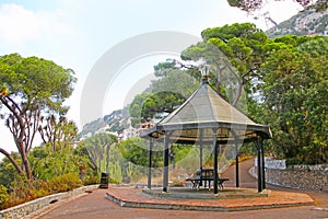 Pagoda the park with Canary Islands Dragon Tree & other plants inside the La Alameda botanical Gardens, Gibraltar.