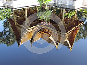 A pagoda in a reflecting pool