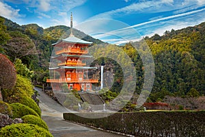 Pagoda of Seiganto-ji Temple at Nachi Katsuura