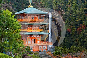 Pagoda of Seiganto-ji Temple at Nachi Katsuura