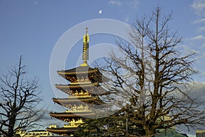 Pagoda in Senso-Ji temple Japan