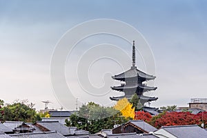 Pagoda of Toji Temple when autumn in Kyoto, Japan