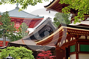 Pagodas of Mount Koya photo