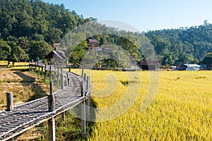 Pai Bamboo Bridge Boon Ko Ku So in Pai, Mae Hong Son Province, Thailand