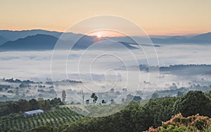 Pai Thailand landscape with mist in the valleys at sunrise