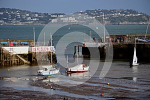 Paignton Harbour