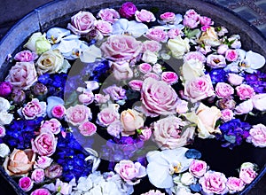 Pail of Flowers Floating in Water