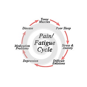 Pain / Fatigue Cycle