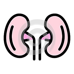Pain kidney icon color outline vector