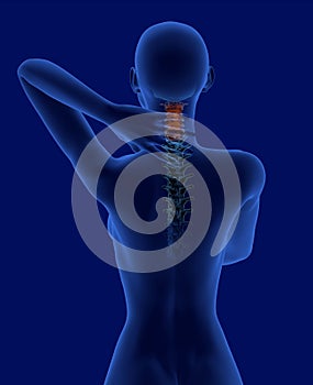 Pain in the neck x-ray scan rear view