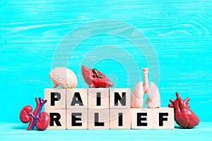 Pain Relief Concept with Wooden Blocks and Organs Figurines