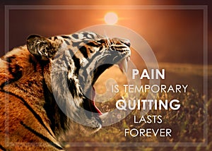 Pain is only temporary, quitting last forever.
