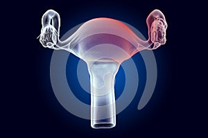 Pain in Uterus concept. Ghost light effect, x-ray hologram. 3D rendering