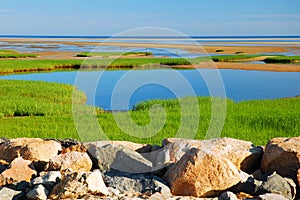 Paines State Park, Cape Cod