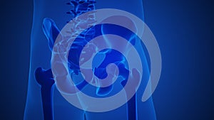 Painful hip joint with blue background