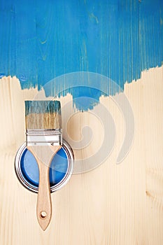 Paint brush on the can