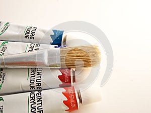 Paint brush and painture