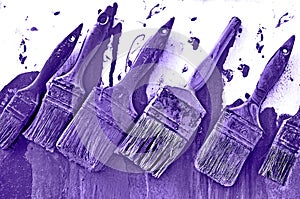 Paint Brushes