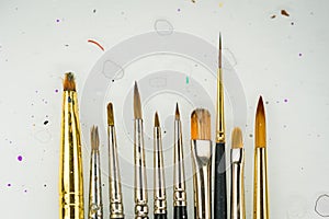 Paint brushes lined up on backdrop