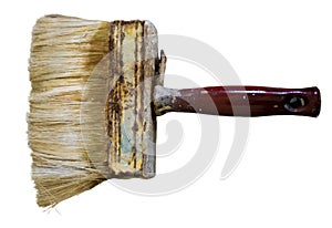 Paint brushes on transparent background