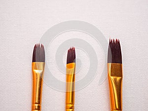 Paint brushes on white canvas. Artist's tool.