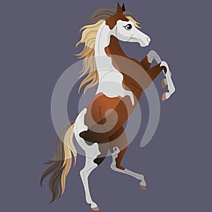 Paint horse. Stands on its hind legs. Cute horse character for children's.