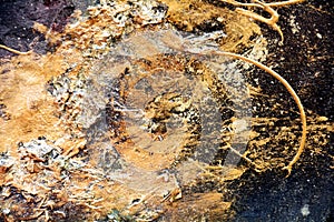 Paint orange gold textile grunge golden colors, brush strokes, organic textile hypnotic background