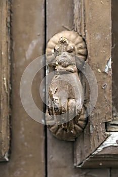 Paint peeling door knocker on worn door of dilapidated house