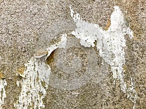 Paint peeling off wall