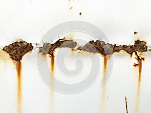 Paint peeling off wall