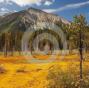 Paint Pots - Kootenay N.P. - Canada